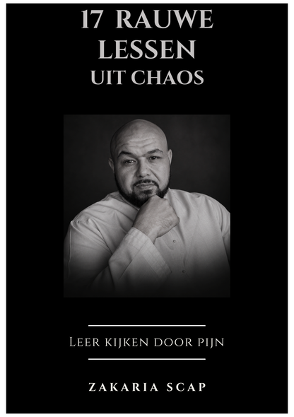 Fysiek Boek  - 17 Rauwe Lessen Uit Chaos